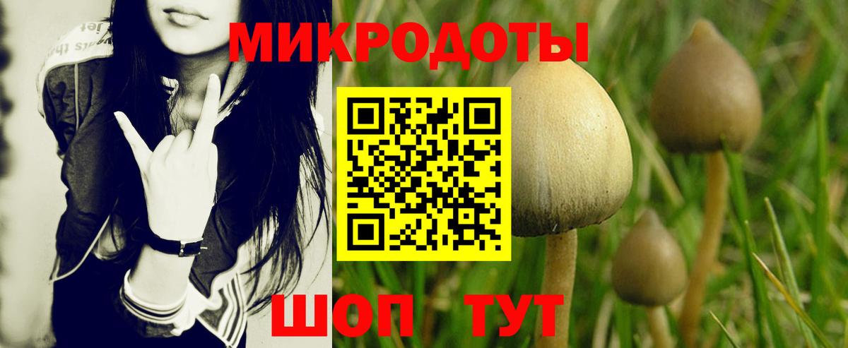 Мыски  Галлюциногенные грибы прущие грибы  Вход с VPN  Псилоцибиновые грибы Psilocybine cubensis 